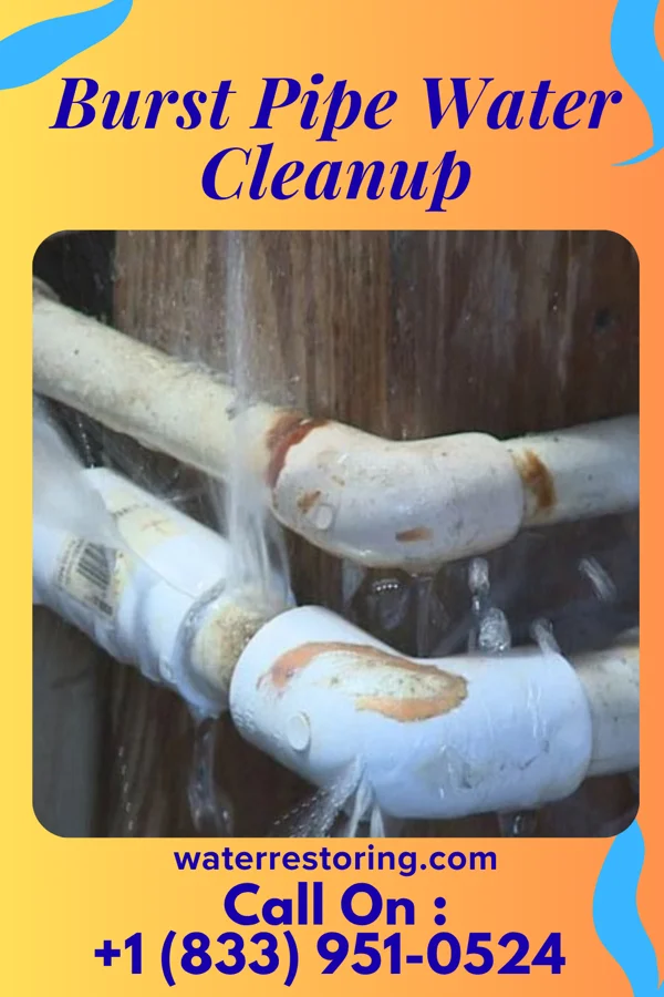 Burst Pipe Water Cleanup in Quasqueton, IA