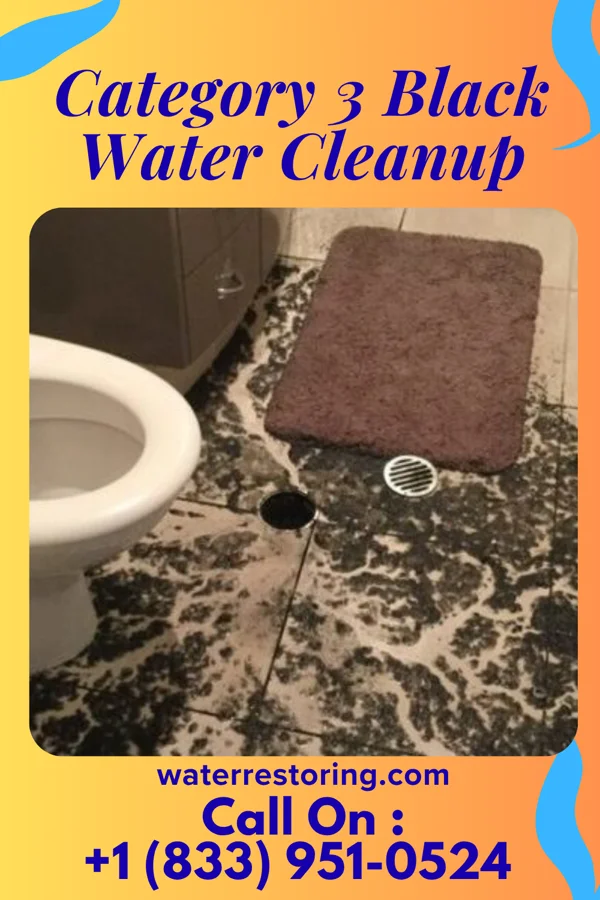 Category 3 Black Water Cleanup in Quasqueton, IA