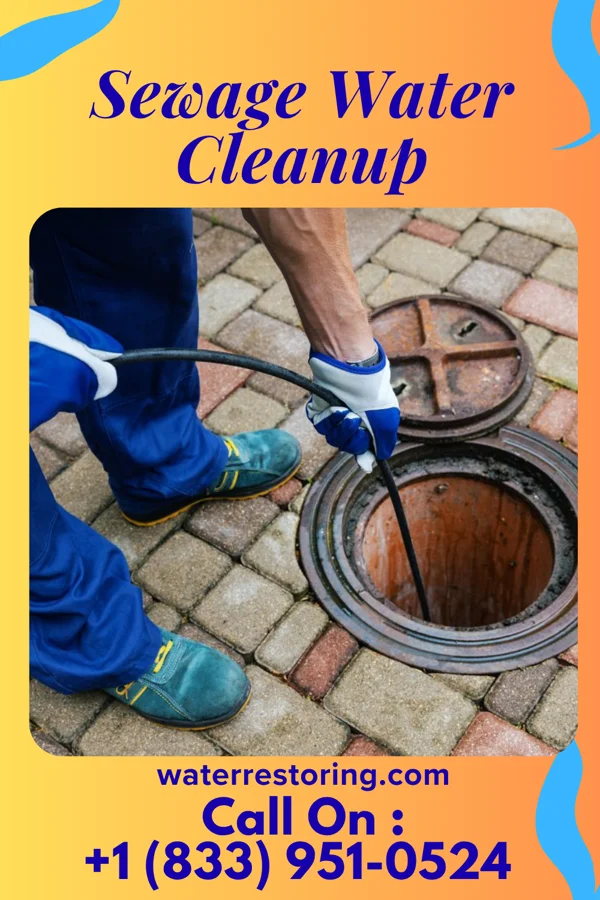 Sewage Water Cleanup in Quasqueton, IA